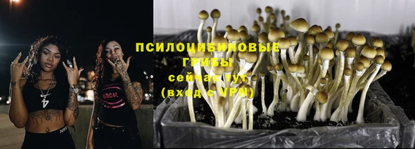 метадон Белокуриха