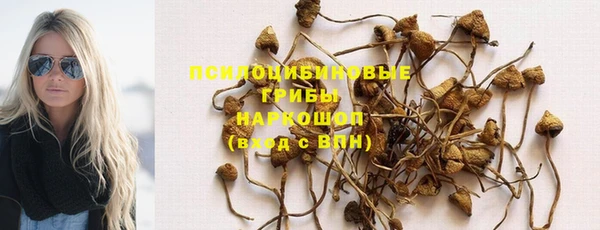 метадон Белокуриха