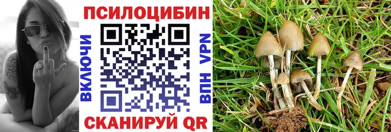 Галлюциногенные грибы мицелий  хочу   Яранск 